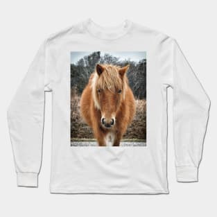 Assateague Island Horse Mieke’s Noe’lani Long Sleeve T-Shirt